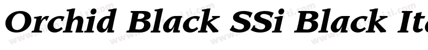 Orchid Black SSi Black Italic字体转换